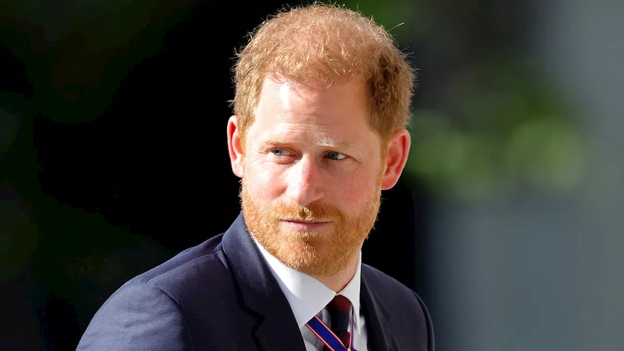 American government lawyers fighting to keep 'law enforcement' documents related to Prince Harry's...