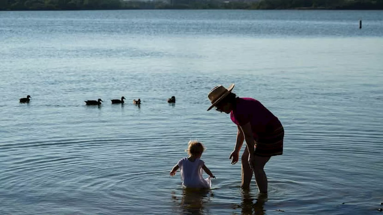 Dallas-Fort Worth temps forecast to hit just shy of 100 degrees