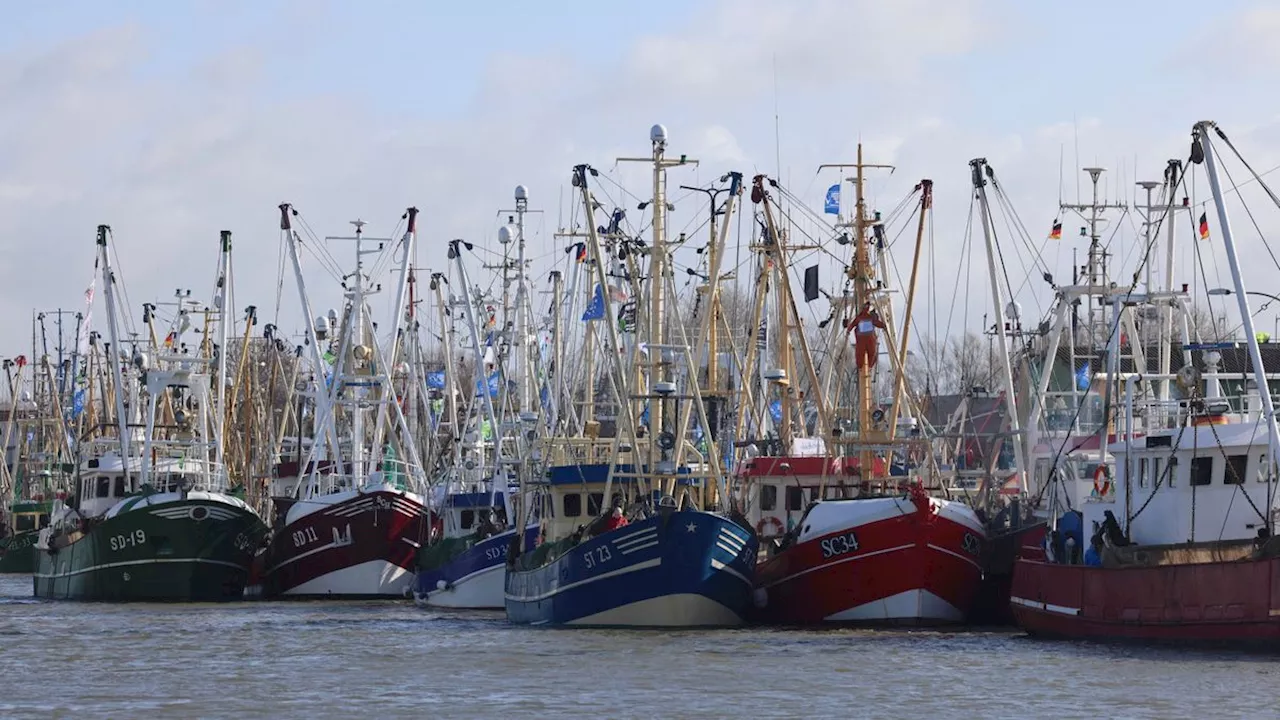 Video zeigt »ungewöhnlichen Fang«: Fischkutter zieht Kleinflugzeug aus der Nordsee