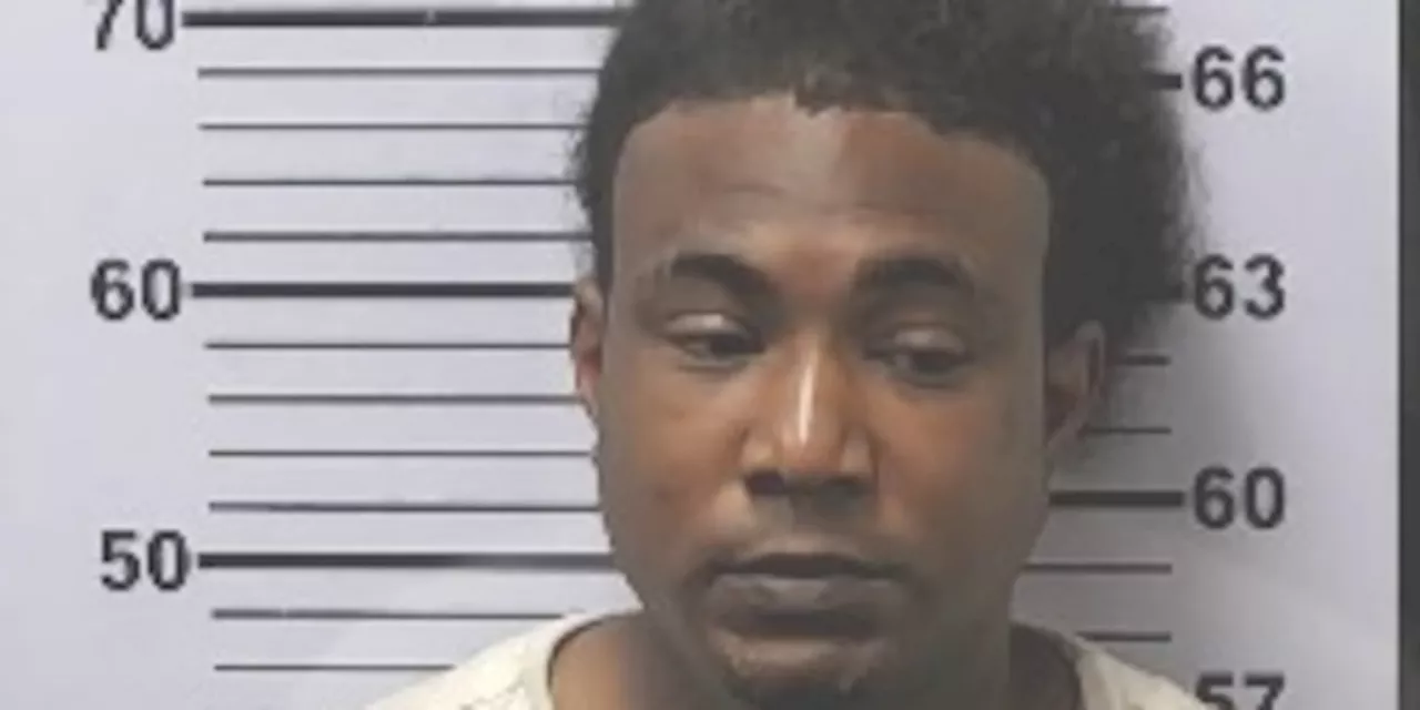 Man accused of abusing 4 children released on bond