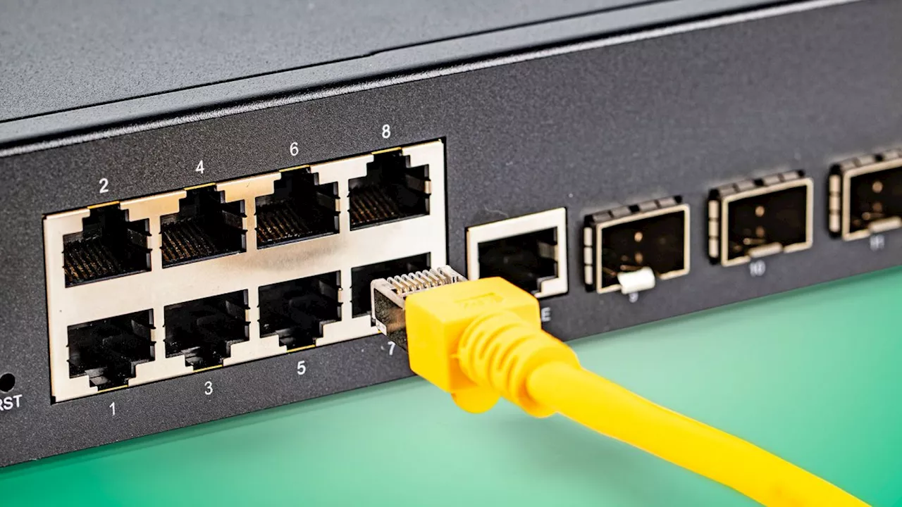 Heimnetz: Wie man das LAN auf Trab bringt