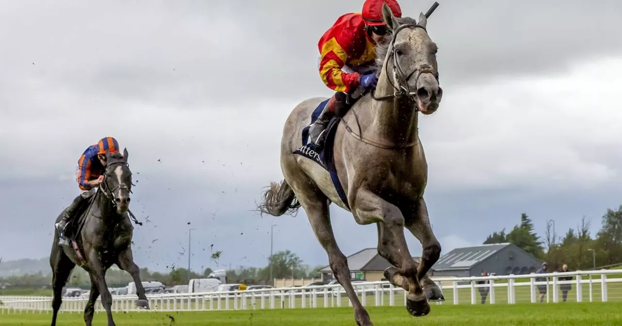 Auguste Rodin proves powerless to resist White Birch at the Curragh