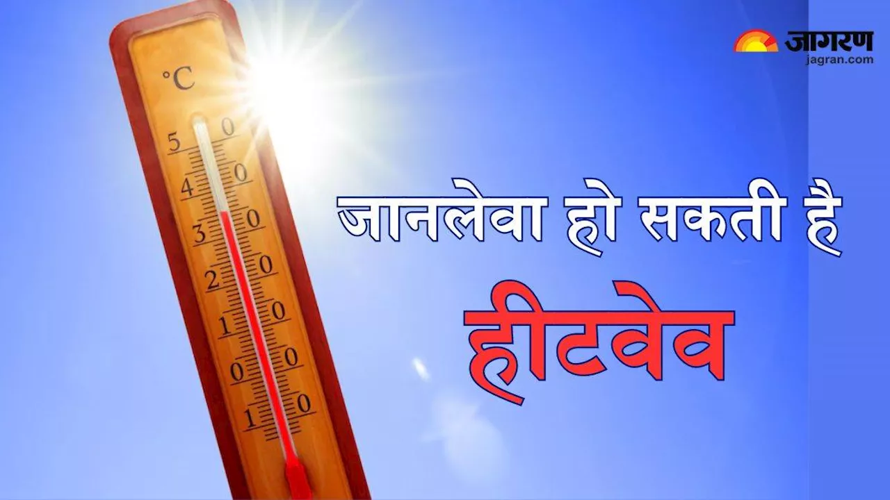 आपकी जान भी ले सकती है Heatwave, एक्सपर्ट से जानें इसके कारण और कैसे करें बचाव