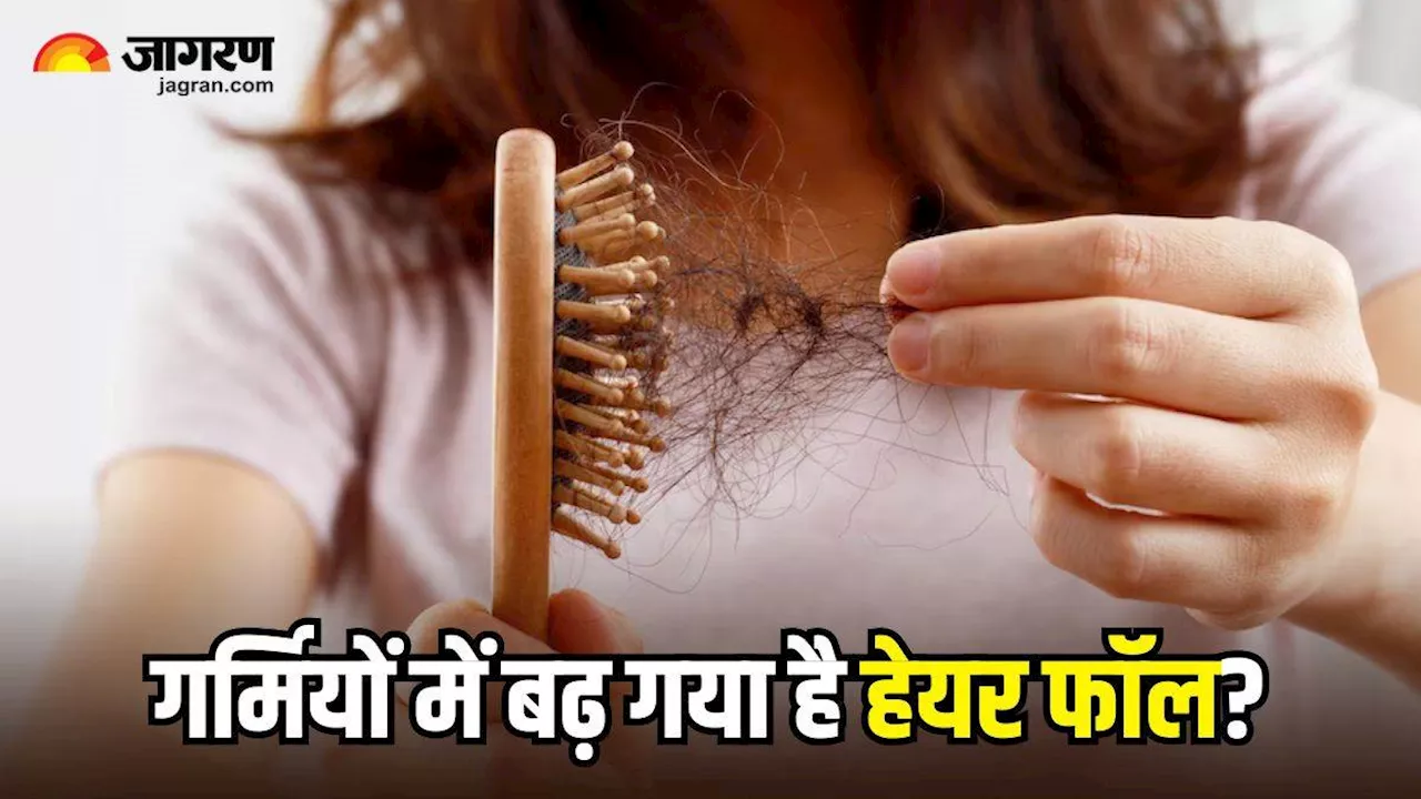 Hair Fall in Summer: गर्मियों में ज्यादा झड़ रहे हैं बाल, तो आज से ही खानपान में शामिल कर लें ये 4 चीजें