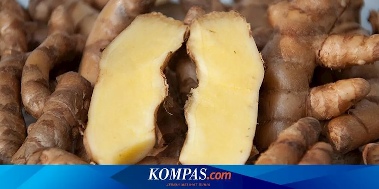 Jarang Diketahui, Ini Potensi Manfaat Konsumsi Kunyit Putih Setiap Hari