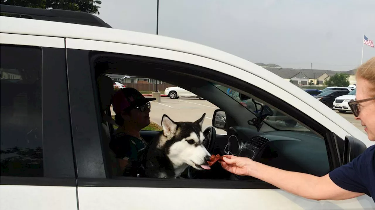 Hays County food distribution event helps pets, people in need