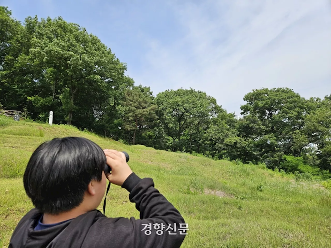 [현장에서]‘천덕꾸러기’ 백로로 생태교육을…청주시, 환경교육 현장 가보니