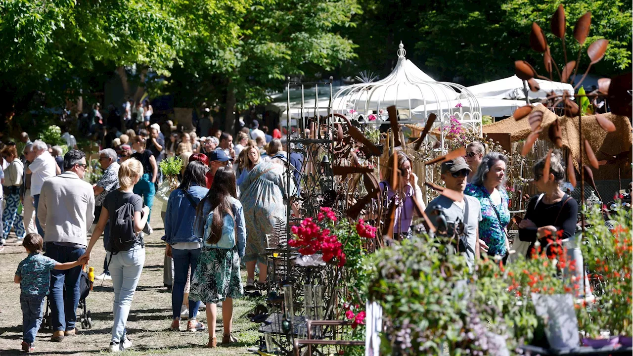 Dernier jour pour apprécier plantes, sculptures et expos aux Journées des plantes d'Albertas de Bouc-Bel-Air