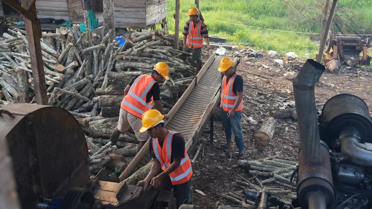 Tak Perlu Jauh-Jauh Merantau, Subtitusi Batu Bara dengan Biomassa Buka Lapangan Kerja di Daerah