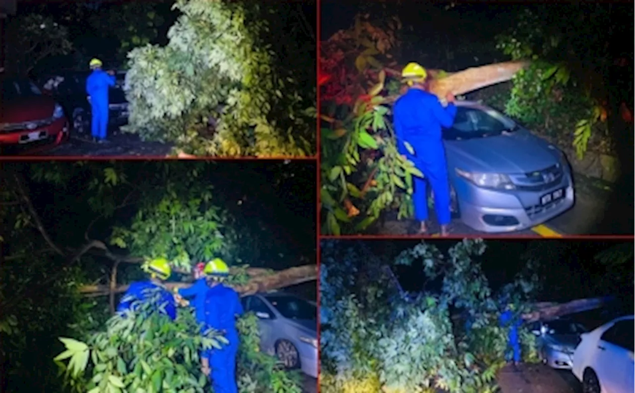 Fire Dept: Heavy storm causes fallen trees in several parts of KL