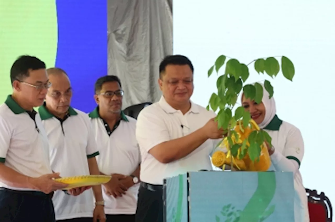 Natural resources sec-gen: Over 86 million planted since launch of Million Trees Planting Campaign