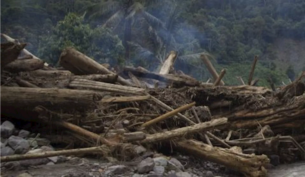 Longsor di Papua Nugini Menewaskan 670 Orang