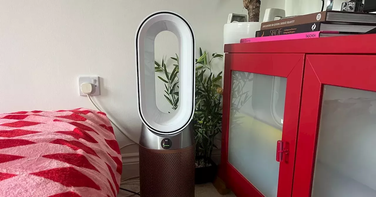 Dyson's air purifier transformed my home into an allergy-free zone