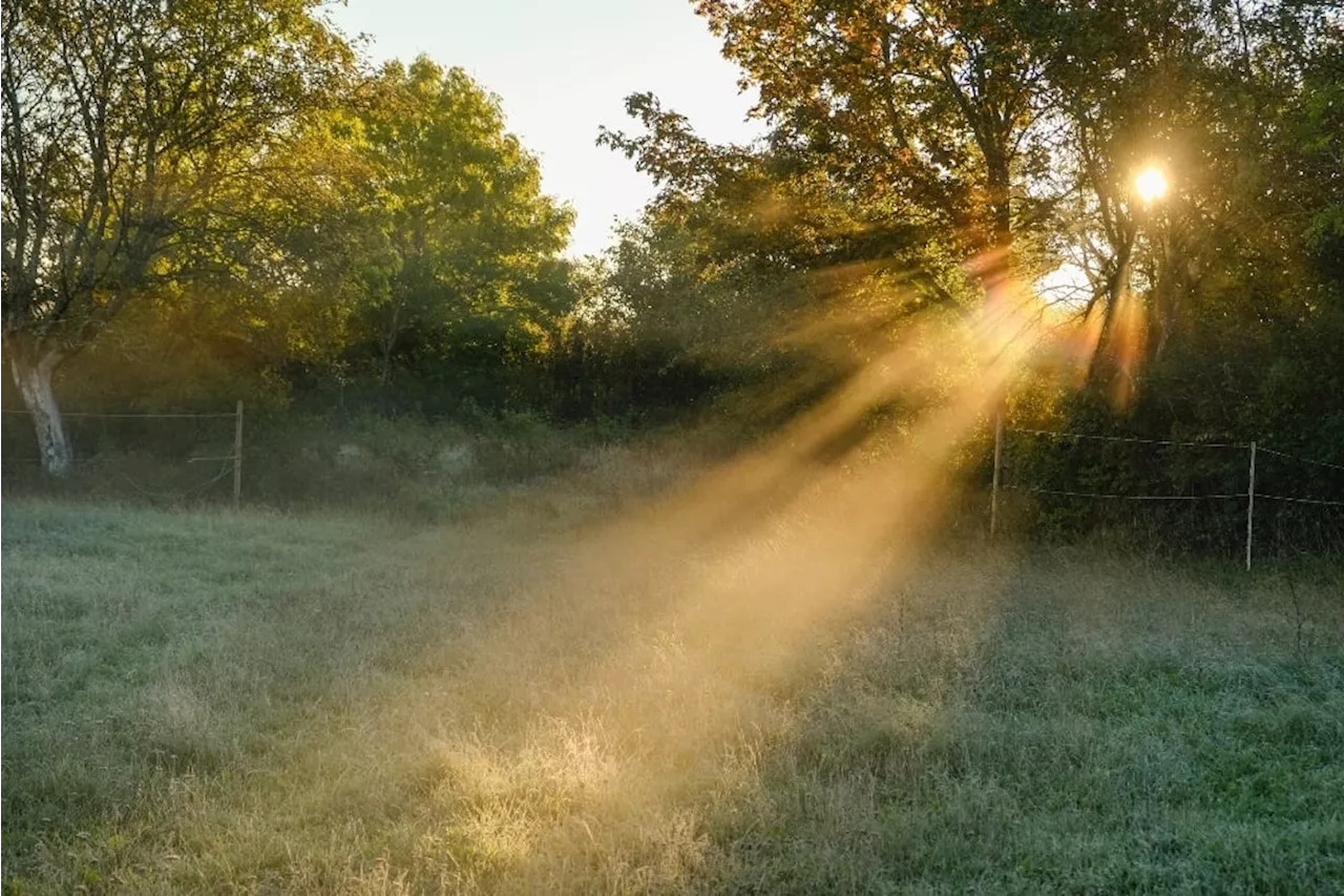 Monday's weather: Morning fog but cool to warm conditions for most of SA