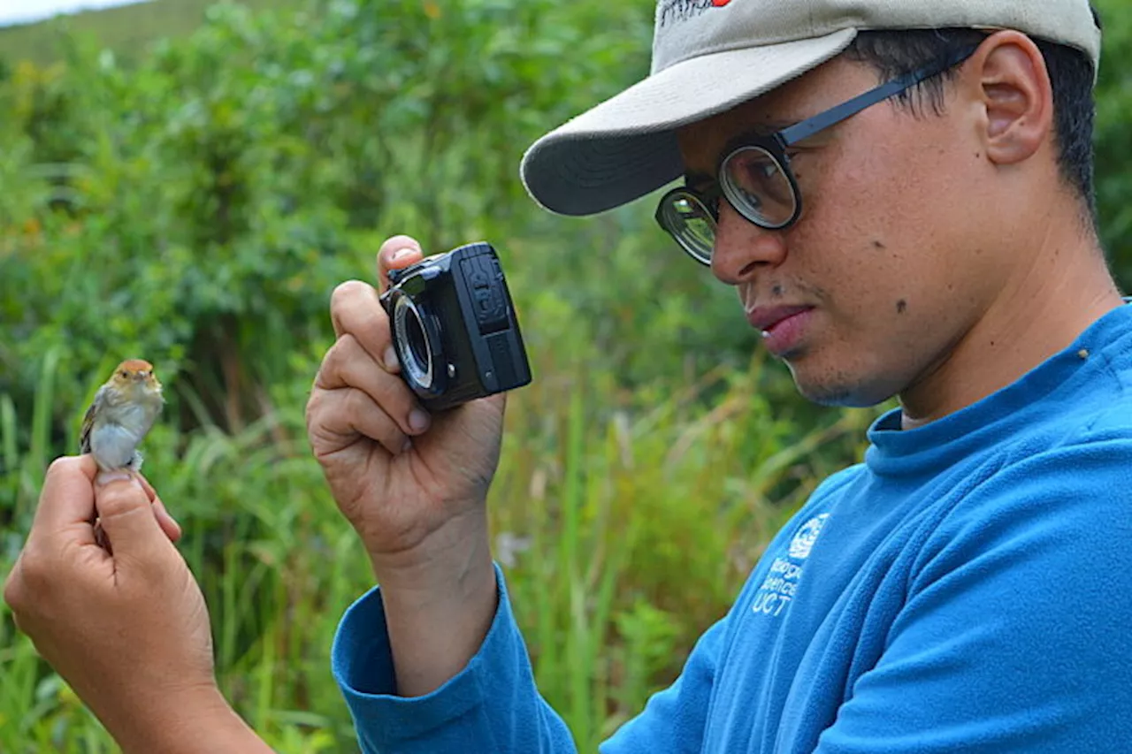 Tracing Africa’s ‘fading biological fingerprints’ in Angola’s threatened forests