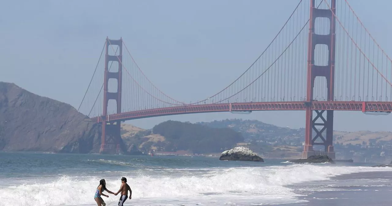 The Examiner staff's favorite SF summer activities