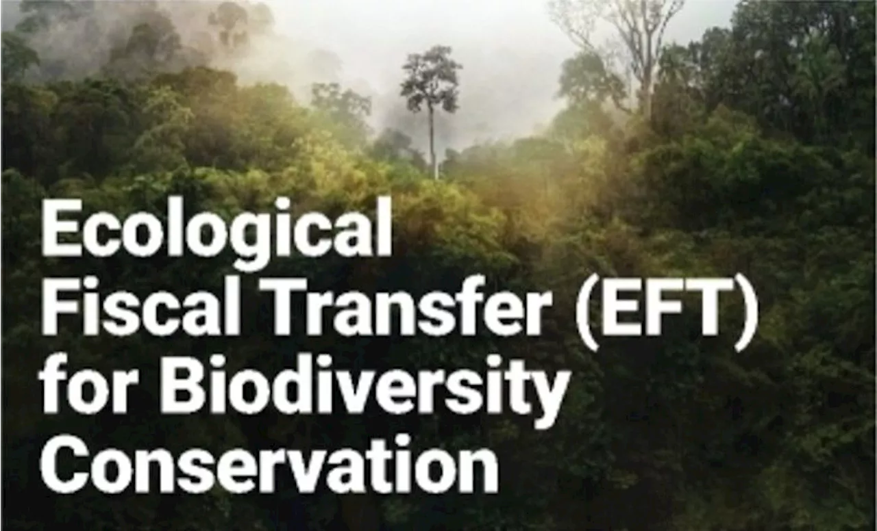 Crucial forests and marine life saved by EFT