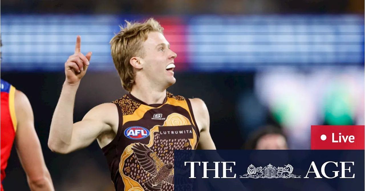 AFL 2024 round 11 LIVE updates: Hawks stay on top as Lions start to fight back