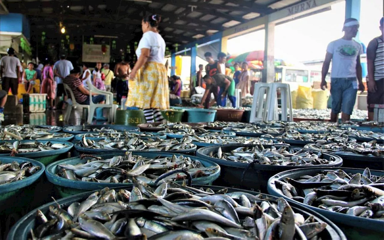 Fish deliveries highest so far for the year in April