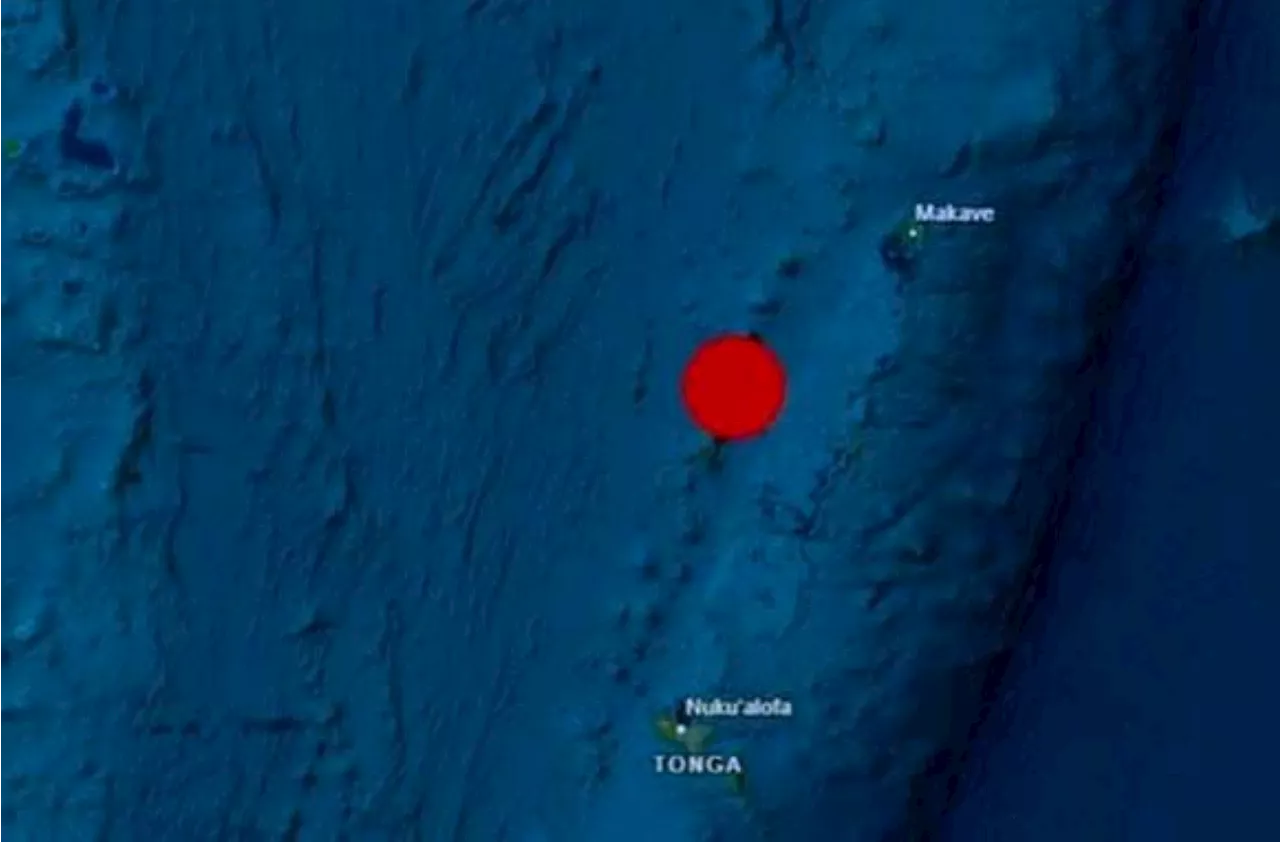 Magnitude 6.6 earthquake strikes near Tonga