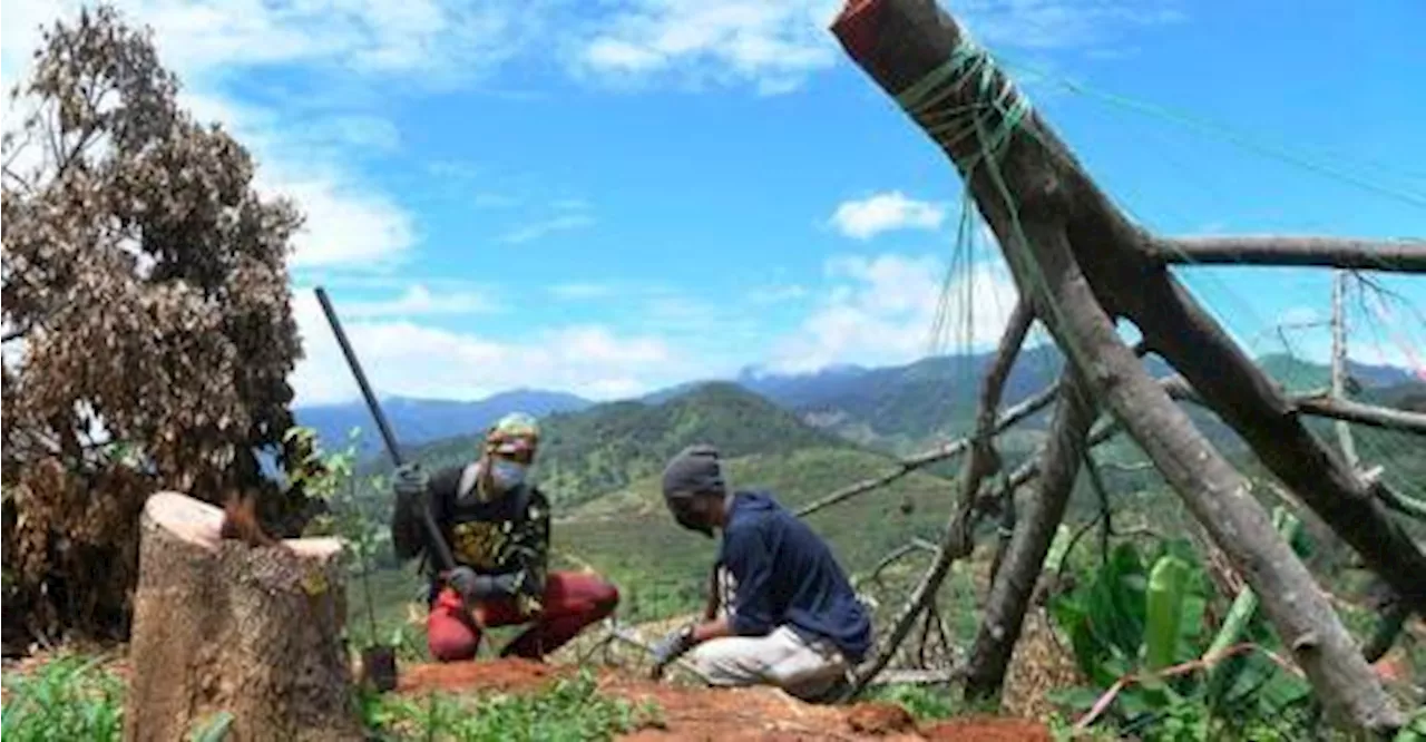 Lebih 86 juta pokok ditanam sejak Kempen Penanaman 100 Juta Pokok