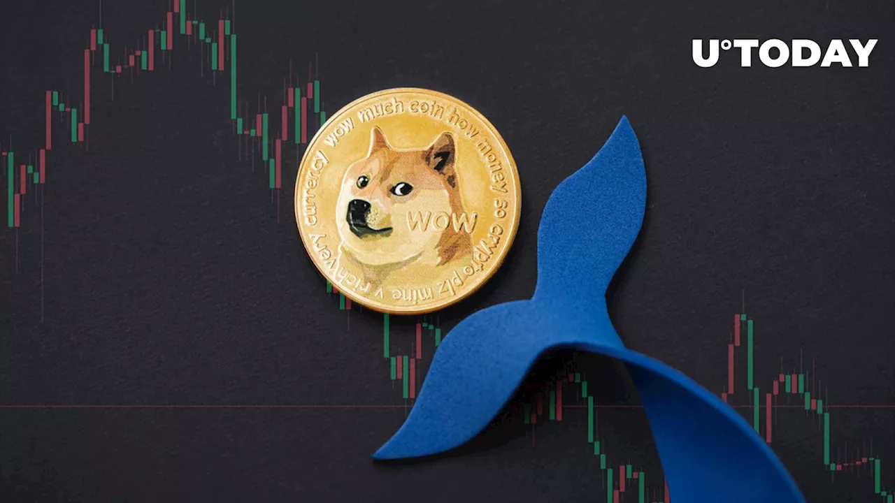 Dogecoin Whales Disappear After DOGE Meme Dog Kabosu's Passing