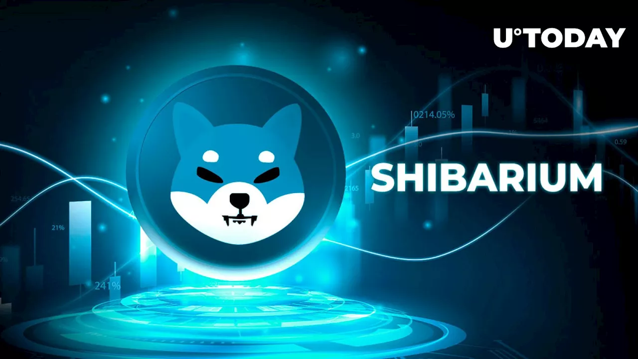 Shiba Inu's Shibarium Skyrockets 60% in Key On-Chain Metric in 24 Hours