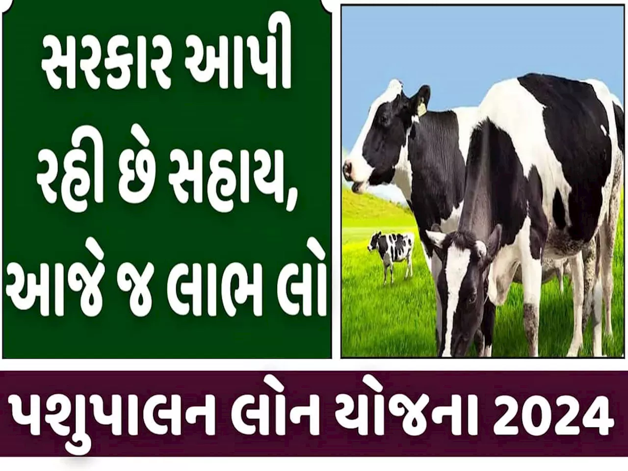 પશુપાલન માટે સરકાર આપશે લાખો રૂપિયા! કોને મળશે લાભ? જાણો કઈ રીતે કરવી અરજી