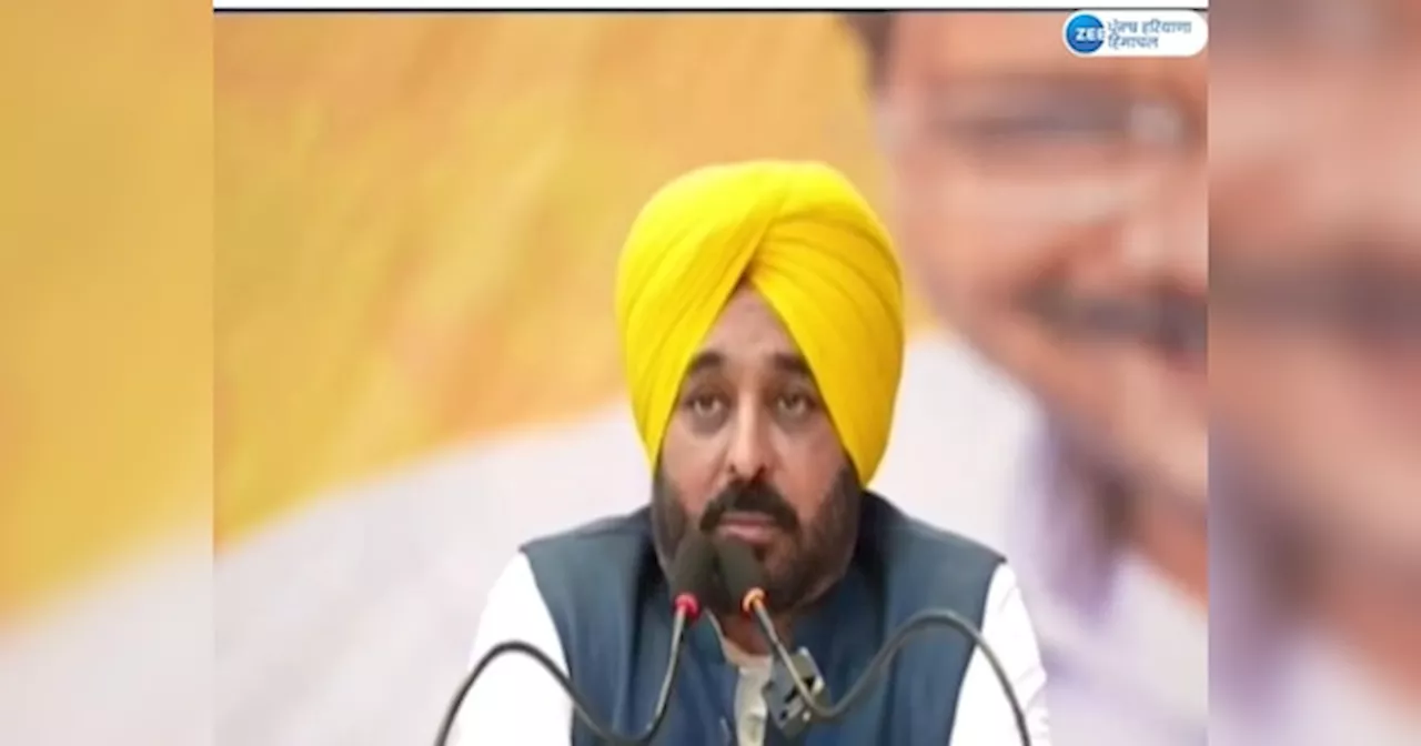 CM Bhagwant Mann: ਪੰਜਾਬ ਚ ਬਾਹਰੋਂ ਇੰਡਸਟਰੀ ਲਿਆਉਣ ਲਈ ਬਿਜਲੀ ਸਸਤੀ ਕਰਾਂਗੇ-ਸੀਐਮ ਮਾਨ