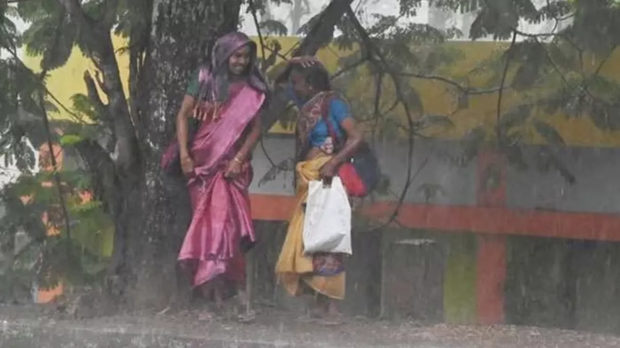 Kerala Weather: സംസ്ഥാനത്തെ ഈ ജില്ലകളിൽ മഴ പെയ്യാൻ സാധ്യത