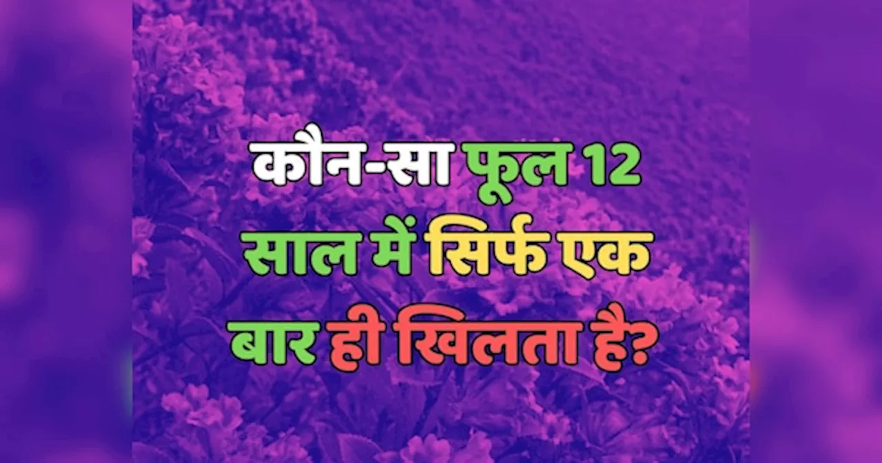 Trending Quiz : कौन-सा फूल 12 साल में सिर्फ एक बार ही खिलता है?