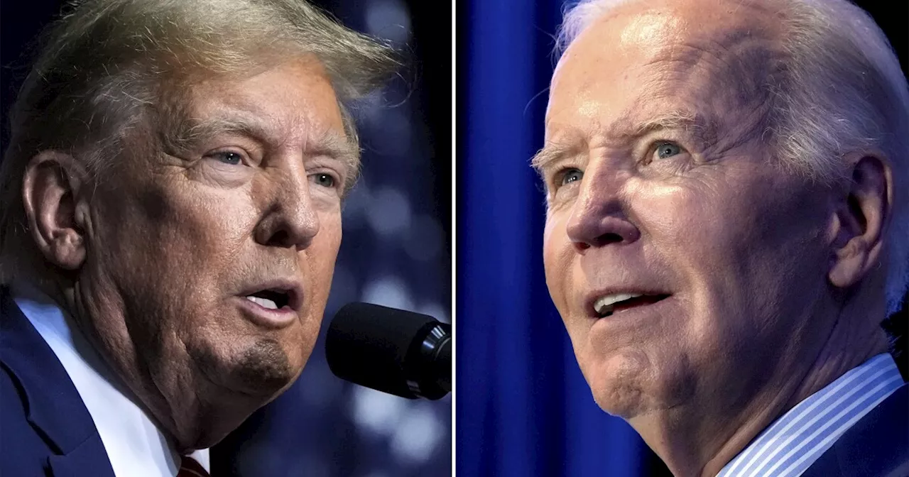 How do President Biden and former President Trump differ on education?