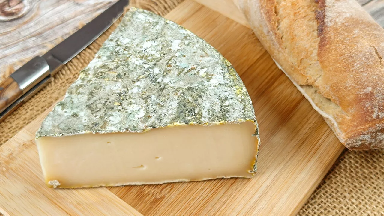 Listeria : suspecté d'être contaminé, du fromage rappelé en France dans plusieurs enseignes