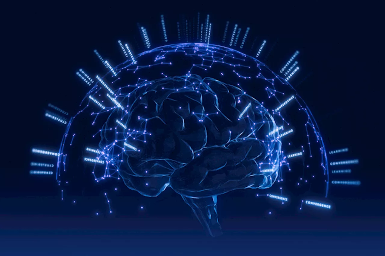 Quasi muto per un ictus comunica in 2 lingue con decoder