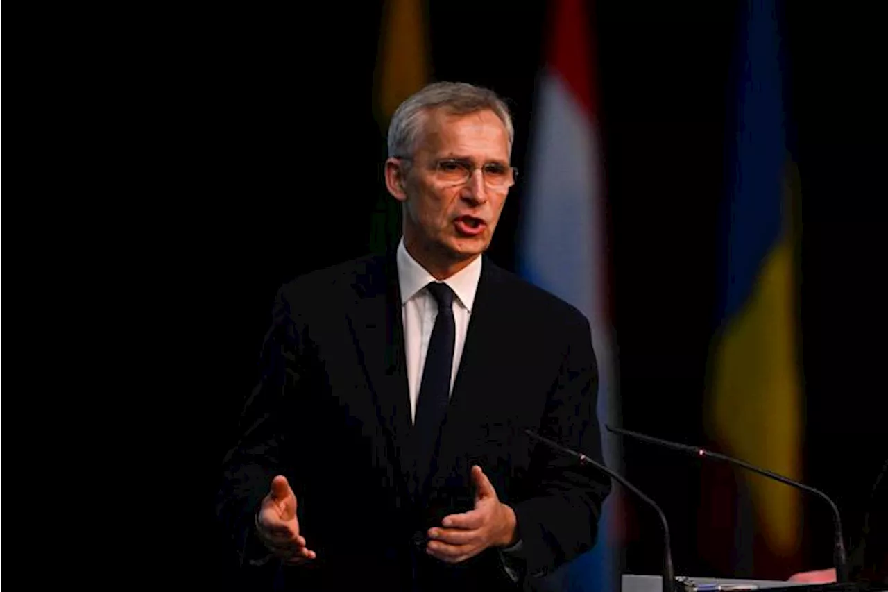 Stoltenberg, 'sull'uso delle armi decidono i singoli Paesi'