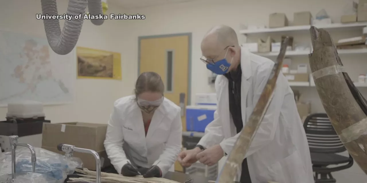 Alaska’s first radiocarbon dating lab coming to UAF