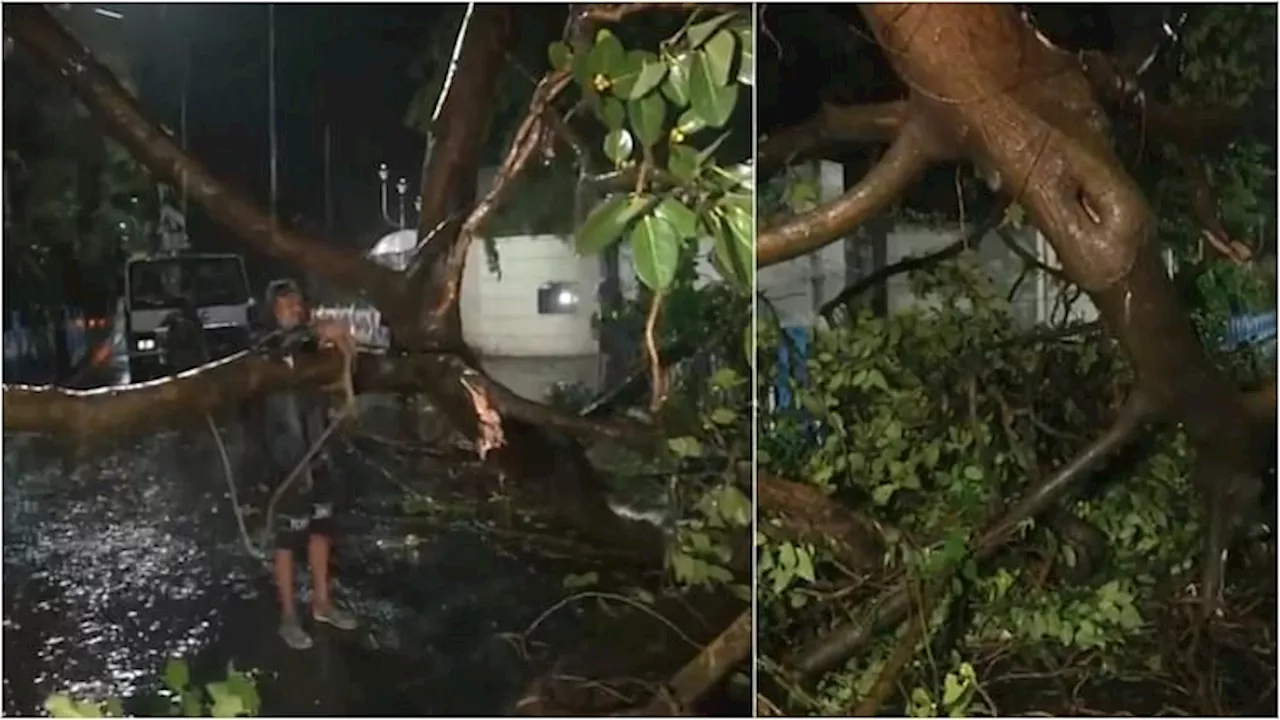 Cyclone Remal: बंगाल तट से टकराने के बाद कमजोर पड़ा भीषण चक्रवाती तूफान रेमल, कई जगह बारिश; पेड़ भी उखड़े