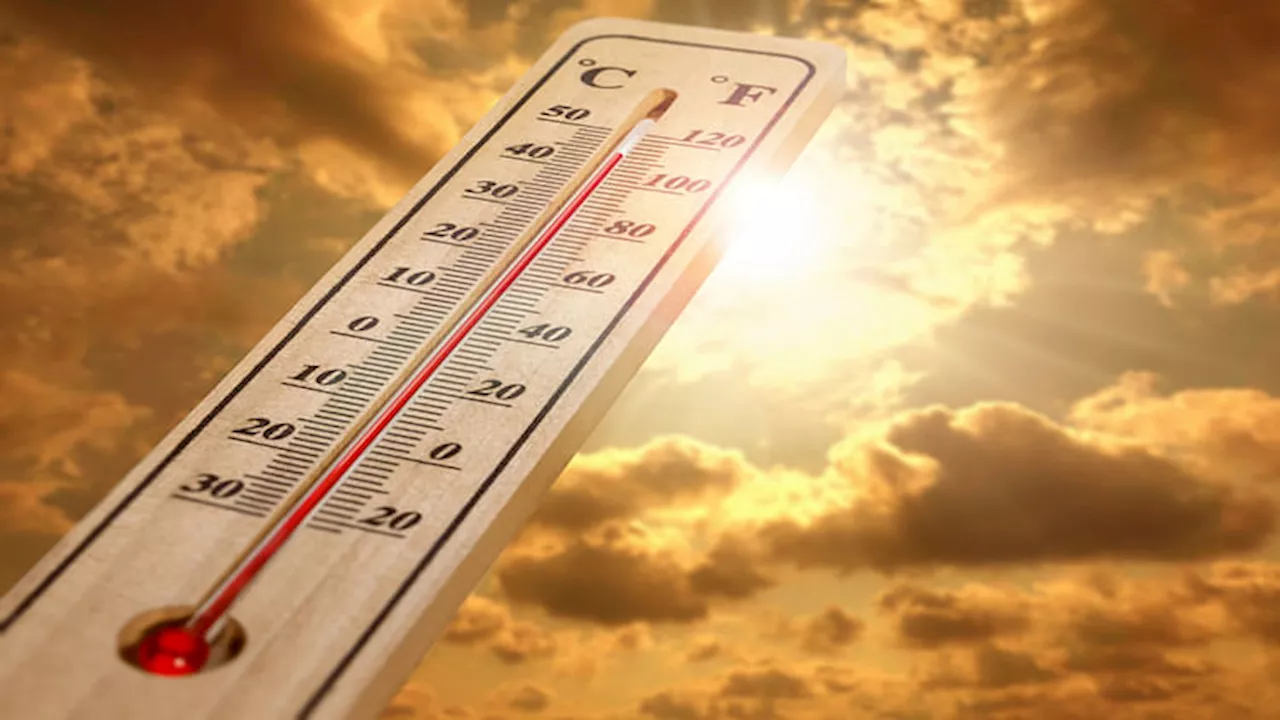 Heatwave: हीट स्ट्रोक से 60 से अधिक की मौत, आपातकालीन विभाग में बढ़े मरीज; स्वस्थ रहने के लिए करें ये उपाय