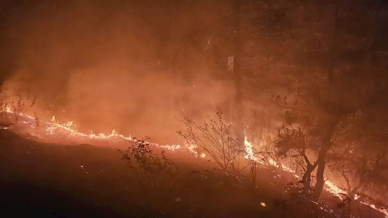 Uttarakhand Forest Fire: जंगल की आग के आगे धरे रह गए विभाग के सारे इंतजाम, पिछले 10 साल के देखें ये आंकड़े