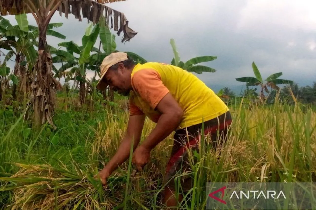 UI: Ekonomi nasional perlu bergeser berbasis pengetahuan