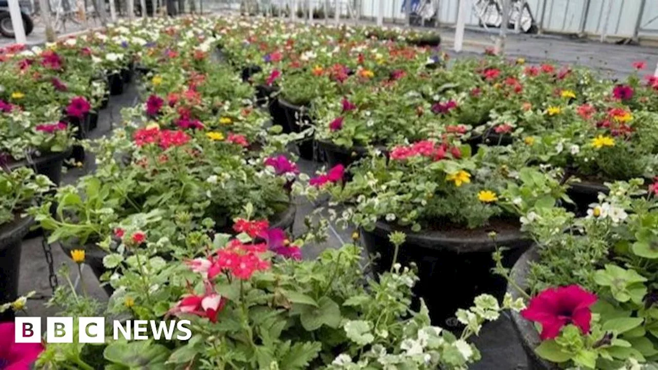 Shrewsbury to re-enter Britain in Bloom