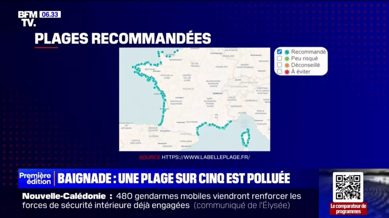 Selon l'association 'Eau et Rivières de Bretagne', une plage sur cinq est polluée en France