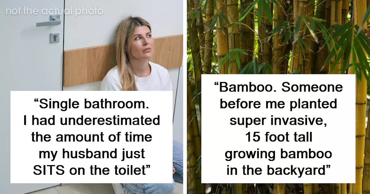 “Bamboo”: 50 Major Problems Homeowners Encountered That Didn’t Look That Bad At First