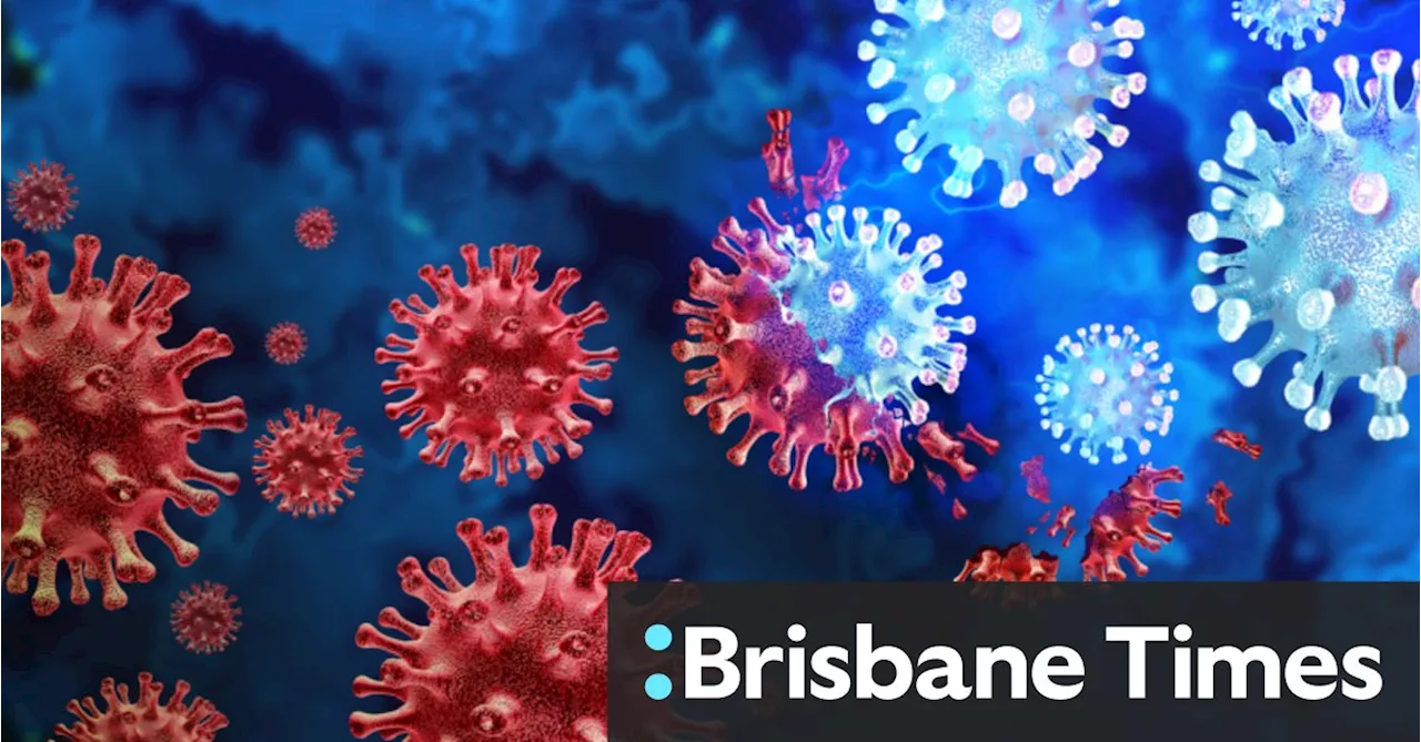 The viral and bacterial ‘soup’ making Queenslanders sick