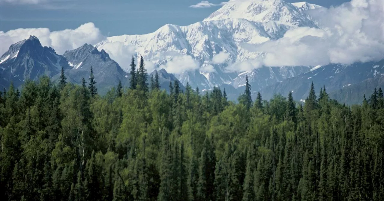 National Park Service denies ordering removal of American flag at Denali National Park