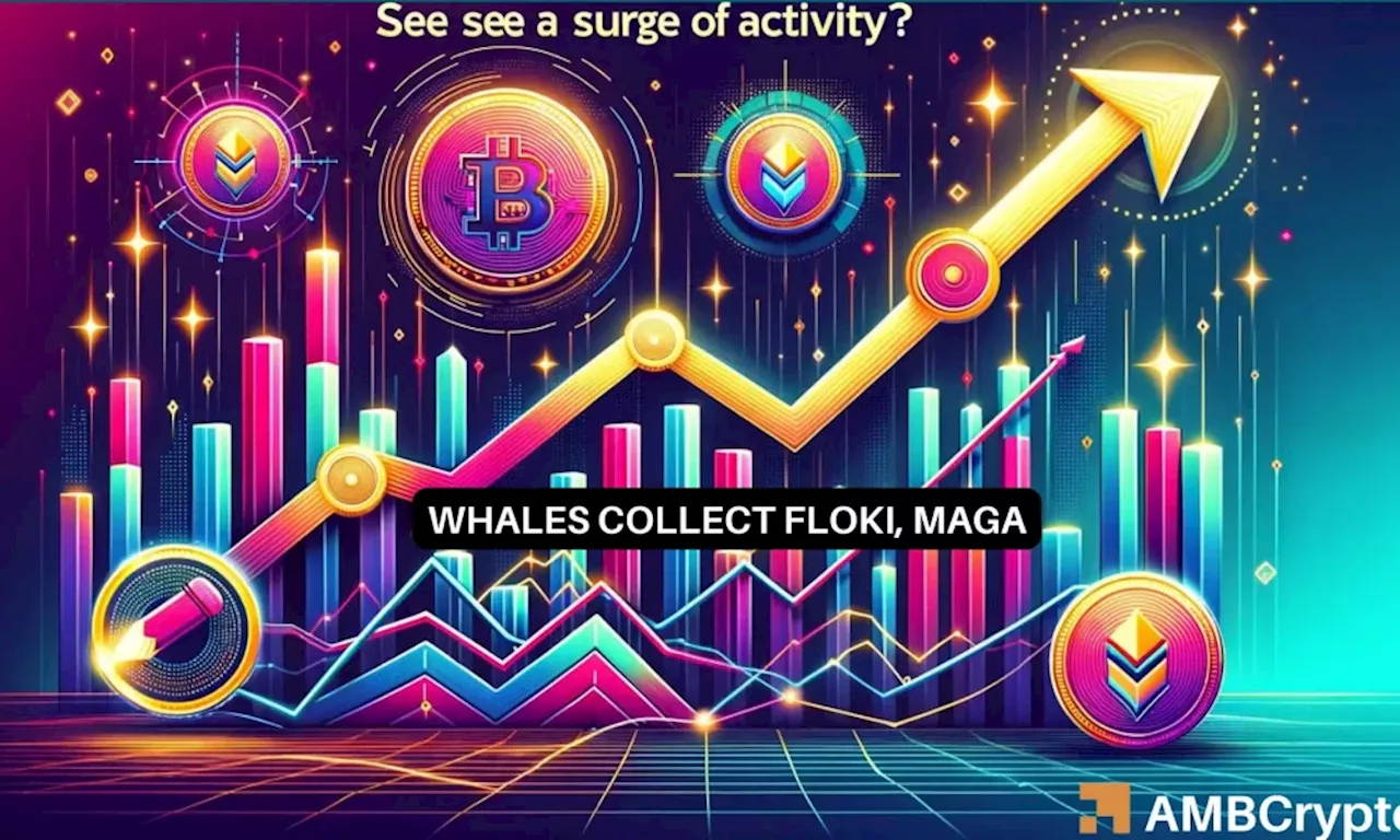 Floki Inu and Donald Trump-related MAGA see whale activity