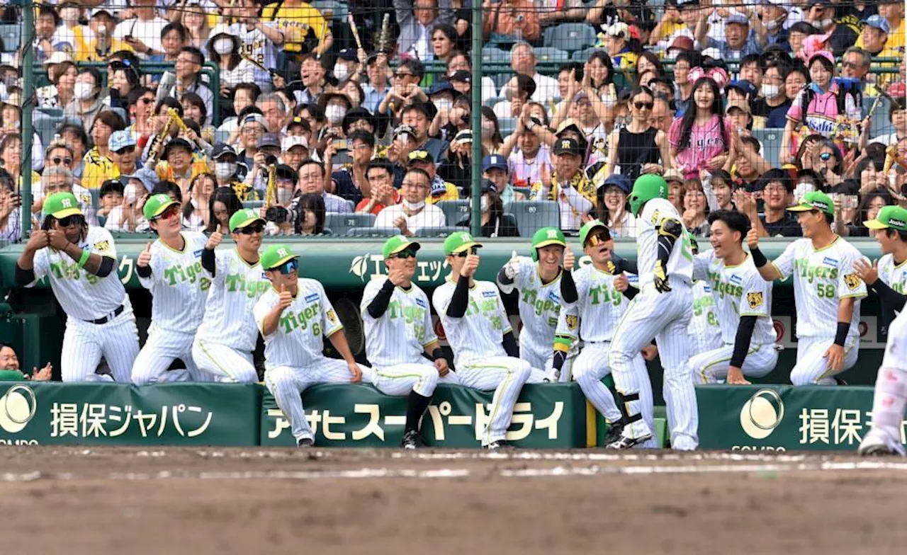 【糸井嘉男氏の眼】阪神打線、好投手と対戦で結果出れば自信になる “イズム”浸透！今年の新庄ハムは強い 万波＆山崎は要チェック