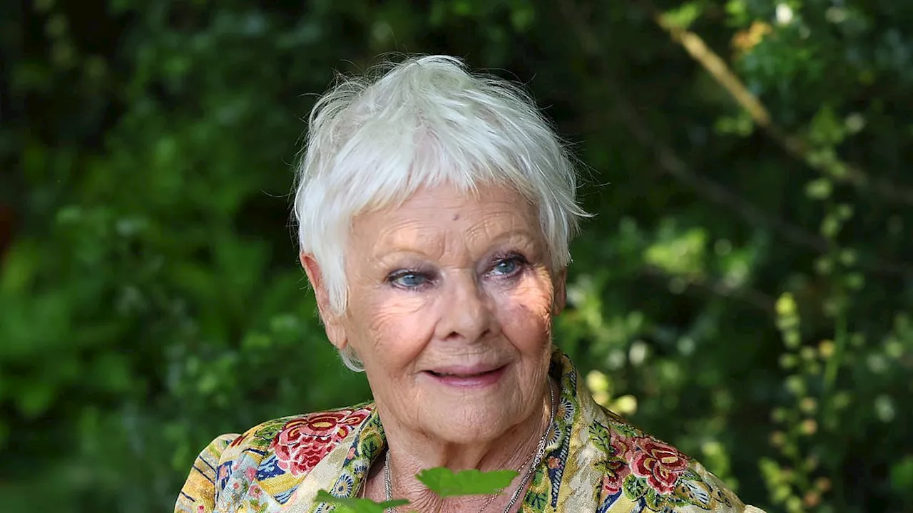 Dame Judi Dench, 89, hints that her film career could be over for good as she reveals that she...