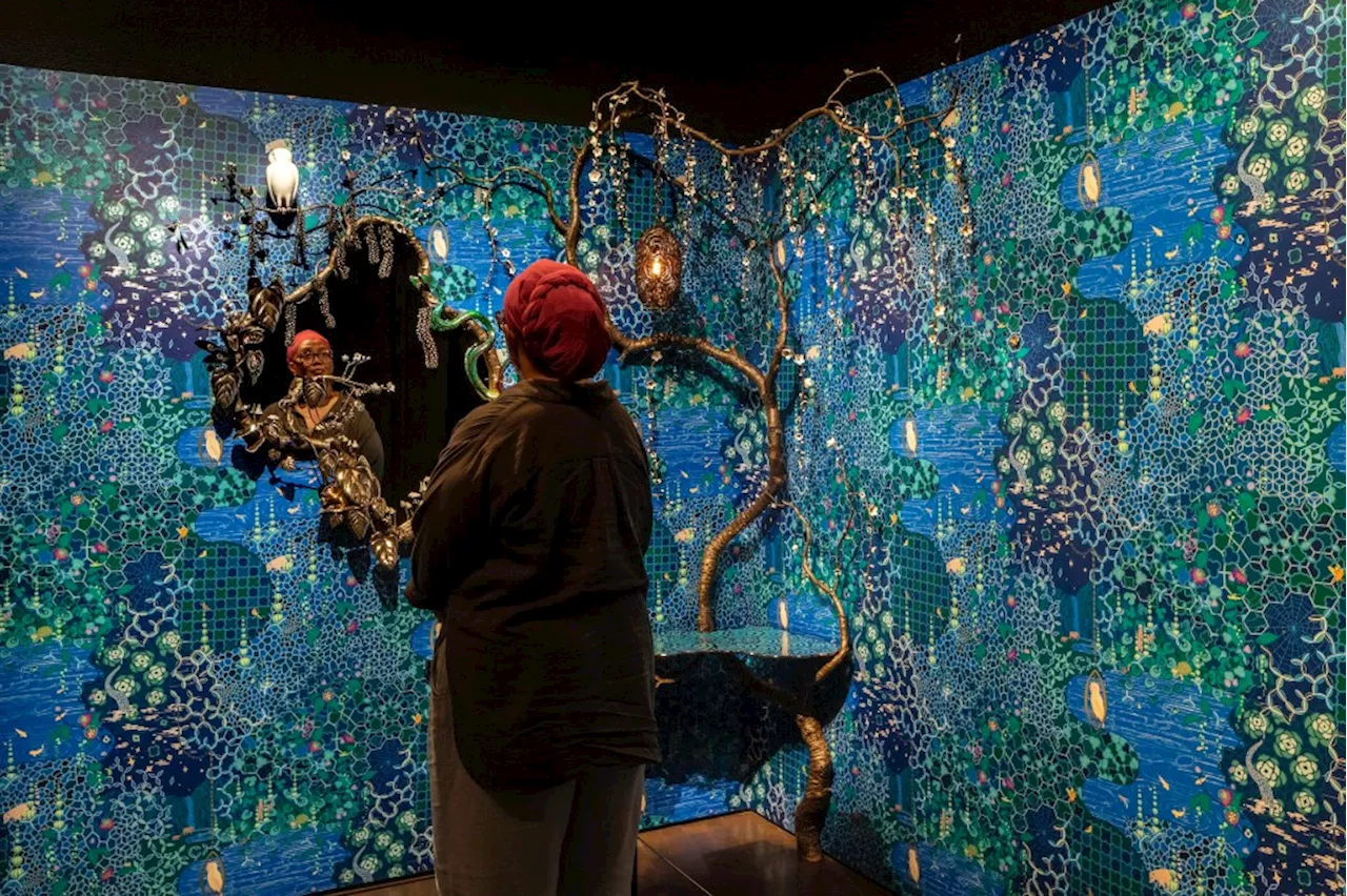 Nature gets a slick, high-tech treatment at the Denver Art Museum