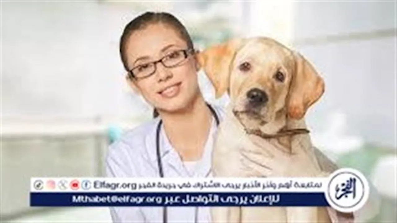 نقيب الأطباء البيطريين يكشف عن أزمة كبيرة في الطب البيطري (فيديو)